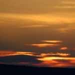 IMG 1408 1